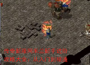 �����·����������ֽ��׹��Դ�ȫ�������ŵ���ͨ