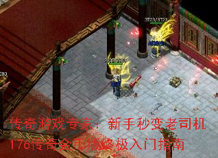 传奇游戏专家:新手秒变老司机176传奇金币版终极入门指南 传奇游戏专家:新手秒变老司机176传奇金币版终极入门指南