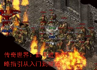 �������磺���ֽ��׹���ָ�������ŵ���ͨ