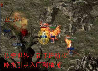 �������磺���ֽ��׹���ָ�������ŵ���ͨ