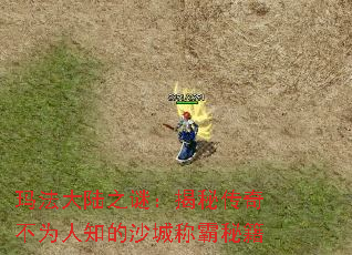 玛法大陆之谜:揭秘传奇不为人知的沙城称霸秘籍 玛法大陆之谜:揭秘传奇不为人知的沙城称霸秘籍