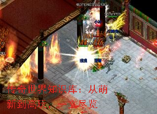传奇世界知识库:从萌新到高玩,一文尽览 传奇世界知识库:从萌新到高玩,一文尽览