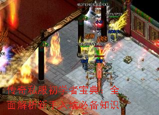 ����˽����ѧ�߱��䣺ȫ�����������ӱر�֪ʶ