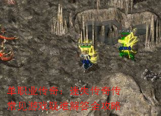 ��ְҵ���棺��ʧ���洫������Ϸ���ѽ��ȫ����