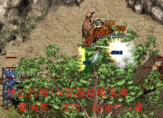 ��Ѫ����176˽�����Ա��䣺���ʴ𡢼��ɡ�������һ��