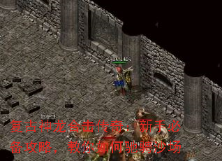 ���������ϻ����棺���ֱر����ԣ�������γ۳�ɳ��