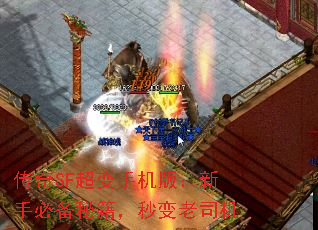 传奇SF超变手机版:新手必备秘籍,秒变老司机 传奇SF超变手机版:新手必备秘籍,秒变老司机