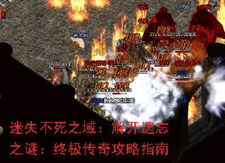迷失不死之域:解开遗忘之谜:终极传奇攻略指南 迷失不死之域:解开遗忘之谜:终极传奇攻略指南