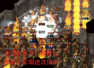 ���������磺����˽�����ֳư��ٳ�ָ��