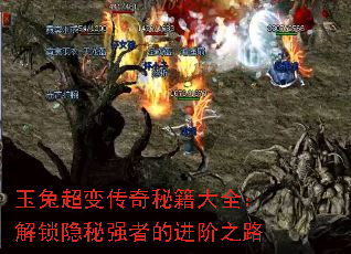 ���ó��䴫���ؼ���ȫ����������ǿ�ߵĽ���֮·