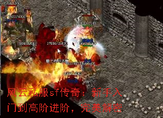 风云私服sf传奇:新手入门到高阶进阶,完美解密 风云私服sf传奇:新手入门到高阶进阶,完美解密