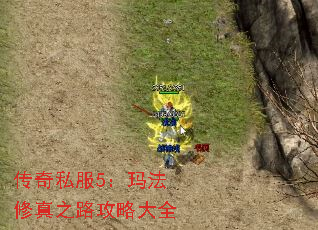 传奇私服5:玛法修真之路攻略大全 传奇私服5:玛法修真之路攻略大全