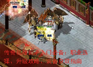 ����˽���������űر���ְҵѡ���������ԡ�װ����ȡָ��