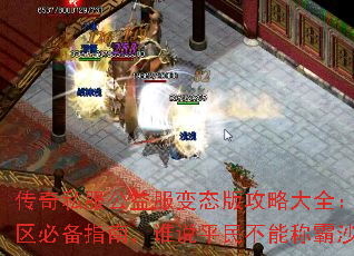 ����˽���������̬�湥�Դ�ȫ���·������ر�ָ�ϣ�˭˵ƽ���ܳư�ɳ�Ϳ�