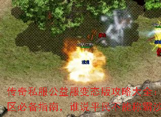 ����˽���������̬�湥�Դ�ȫ���·������ر�ָ�ϣ�˭˵ƽ���ܳư�ɳ�Ϳ�