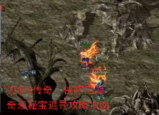 ����2���棺���ͽ��������ر�׷Ѱ����ָ��