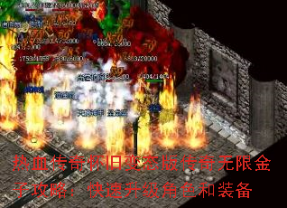 ��Ѫ���滳�ɱ�̬�洫�����޽��ӹ��ԣ�����������ɫ��װ��