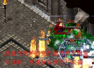 ��Ѫ���滳�ɱ�̬�洫�����޽��ӹ��ԣ�����������ɫ��װ��