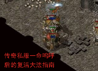 ����˽��һ���غ���ĸ����ָ��