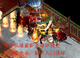 传奇私服最新开服SF独立端攻略大全:新手入门须知 传奇私服最新开服SF独立端攻略大全:新手入门须知