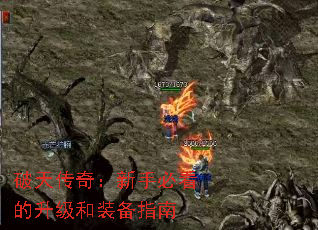���촫�棺���ֱؿ���������װ��ָ��