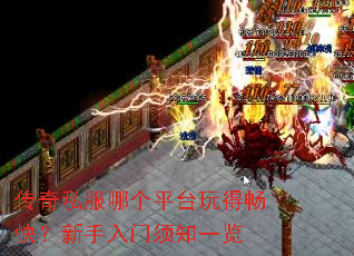 ����˽���ĸ�ƽ̨��ó��죿����������֪һ��