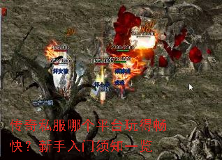 ����˽���ĸ�ƽ̨��ó��죿����������֪һ��