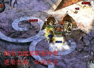 萌宠当道单职业传奇:进阶之路,叱咤风云 萌宠当道单职业传奇:进阶之路,叱咤风云
