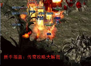 ���ָ��������湥�Դ����