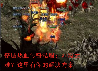 奇域热血传奇私服:冲级太难?这里有你的解决方案 奇域热血传奇私服:冲级太难?这里有你的解决方案