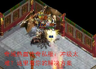奇域热血传奇私服:冲级太难?这里有你的解决方案 奇域热血传奇私服:冲级太难?这里有你的解决方案