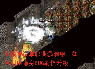 ������˵��ְҵ©�����������������BUGˢ������