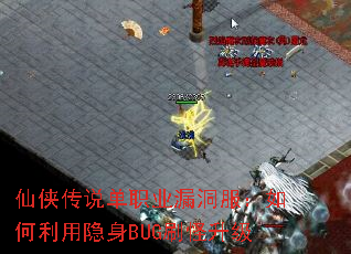 ������˵��ְҵ©�����������������BUGˢ������