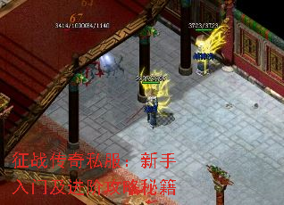 征战传奇私服:新手入门及进阶攻略秘籍 征战传奇私服:新手入门及进阶攻略秘籍