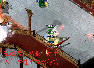 征战传奇私服:新手入门及进阶攻略秘籍 征战传奇私服:新手入门及进阶攻略秘籍
