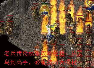 老兵传奇私服攻略秘籍:从菜鸟到高手,必备技巧大揭秘 老兵传奇私服攻略秘籍:从菜鸟到高手,必备技巧大揭秘