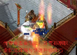 ����ϻ���Ұ棺���ĳ���ְҵ�淨����������������
