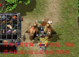 传奇手游宝典:新手指南、等级提升秘籍和极品装备获取攻略 传奇手游宝典:新手指南、等级提升秘籍和极品装备获取攻略