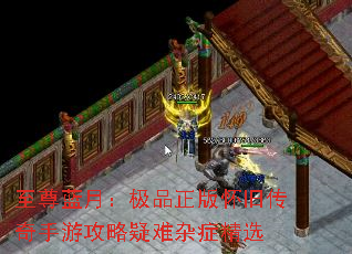 �������£���Ʒ���滳�ɴ������ι���������֢��ѡ