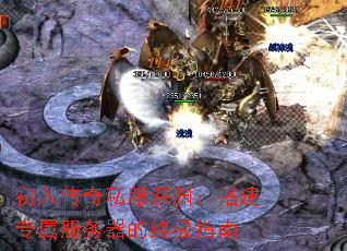 ���봫��˽����Ԩ���ר�����������ռ�ָ��