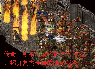 ���棺��������ռ������ؼ����ҿ����Ŵ������������