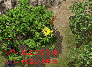 ���棺̤��װ������֮�ã��ʵ�ɳ��ʤ��