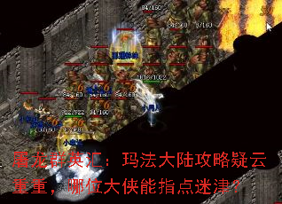 ����ȺӢ�㣺�귨��½�����������أ���λ������ָ���Խ�