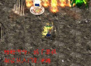 �۷崫�棺���ֵ�����������ŵ���ͨ