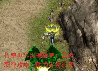 传奇世界纵横驰骋:五大职业攻略,助力称霸沙场 传奇世界纵横驰骋:五大职业攻略,助力称霸沙场