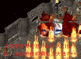 《宝宝传奇手游》新手入门指南:小白也能称霸玛法大陆? 《宝宝传奇手游》新手入门指南:小白也能称霸玛法大陆?