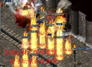 虎啸山林,传奇再续:新手玩家必备攻略 虎啸山林,传奇再续:新手玩家必备攻略