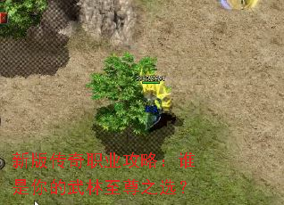 �°洫��ְҵ���ԣ�˭�������������֮ѡ��