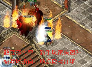 ����̬���棺������ҿ�����������ָ�ϣ��������Ⱥ��