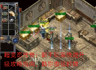 ����̬���棺������ҿ�����������ָ�ϣ��������Ⱥ��